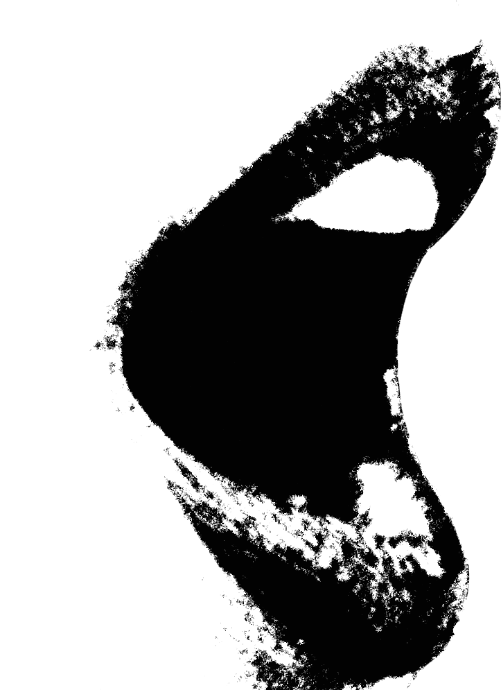 illustration of a mouth in black and white