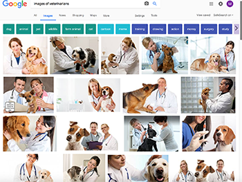 google images of vets