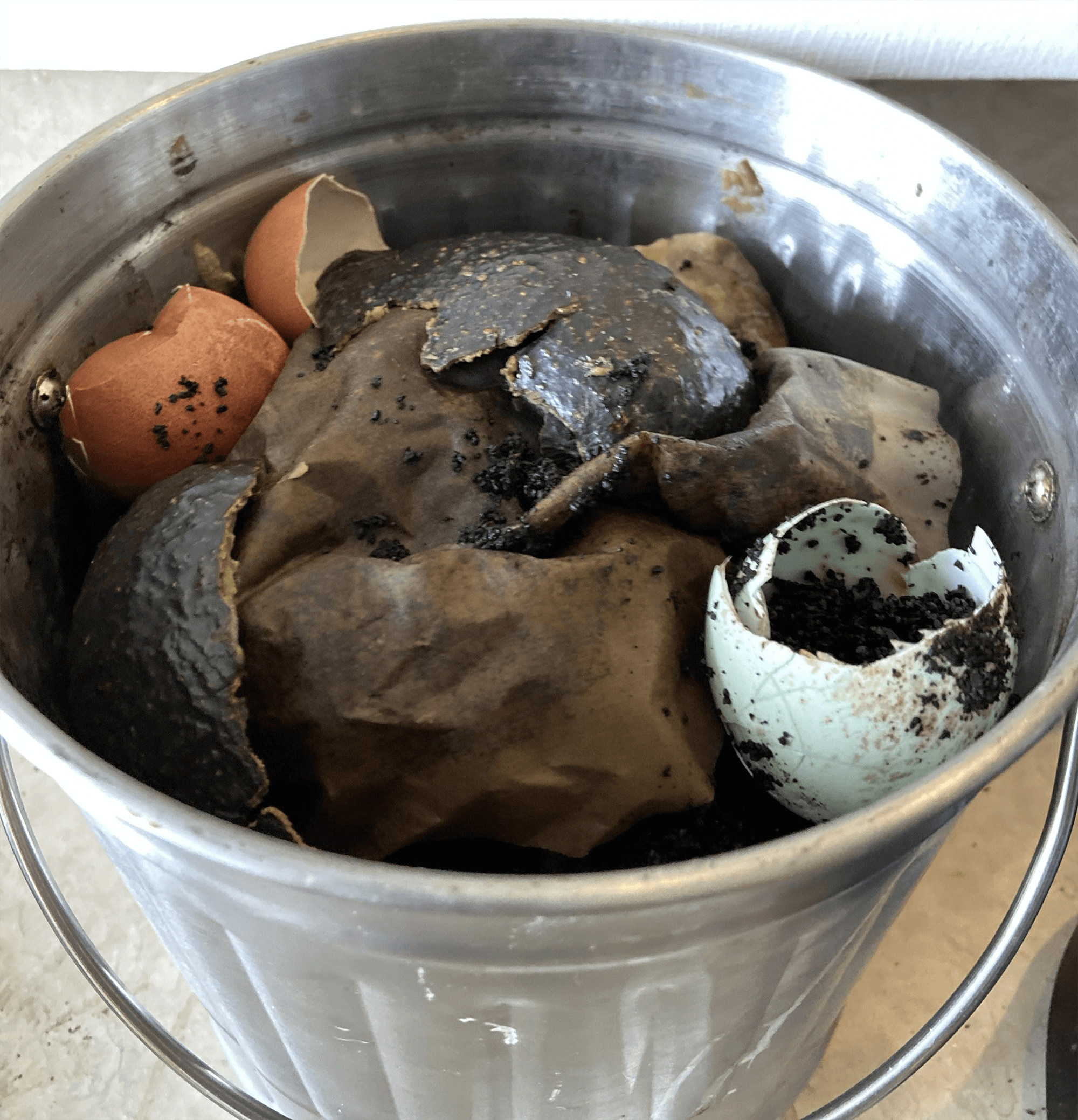 Figure 3. Small compost tin can full of eggshells, coffee grinds, and avocado peel.