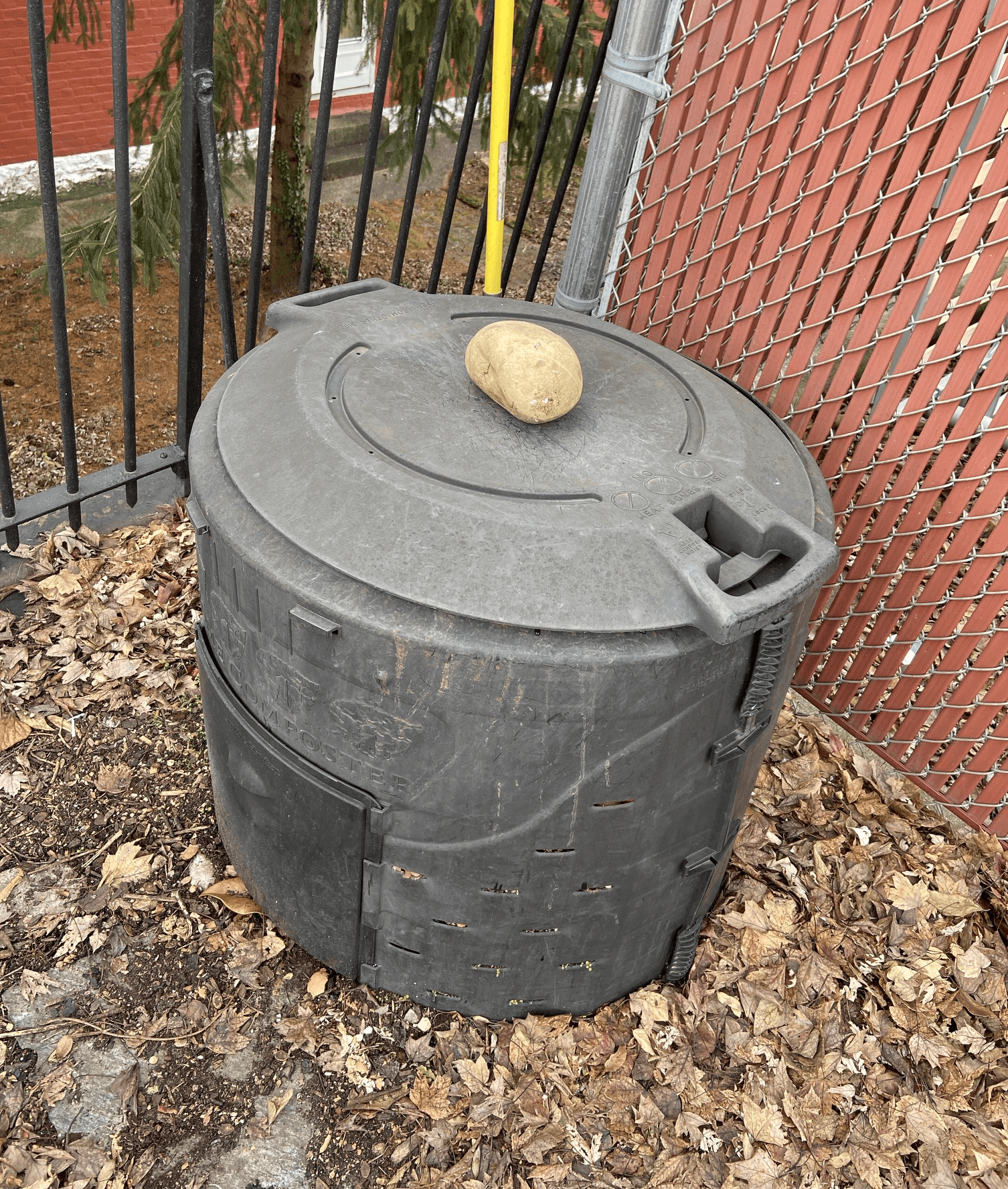 Figure 4. Collective compost bin outdoors in a fenced, leafy yard area.