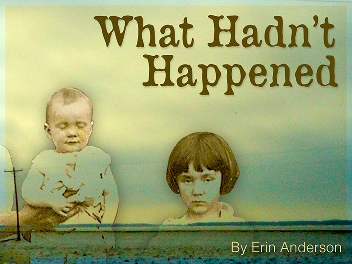 What Hadn't Happened cover image