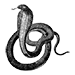 a decorative image of a cobra snake