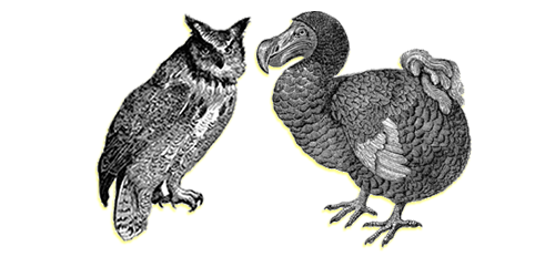 a decorative image of a dodo and an owl
