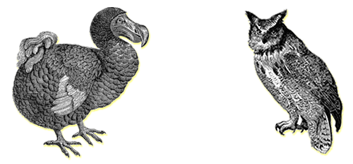 decorative image of a dodo and an owl