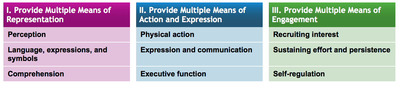 Figure 1 Chart with Universal Design for Learning Principles which states Provide Multiple Means of (1) Representation, (2) Action and Expression, (3) Engagement.