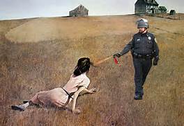 Figure 9 A meme created from the Andrew Wyeth painting Christina’s World. In the original paining, a woman is posed in a field, looking longingly at a farm house. In the meme image, a cop is also included,  pepper spraying the woman.