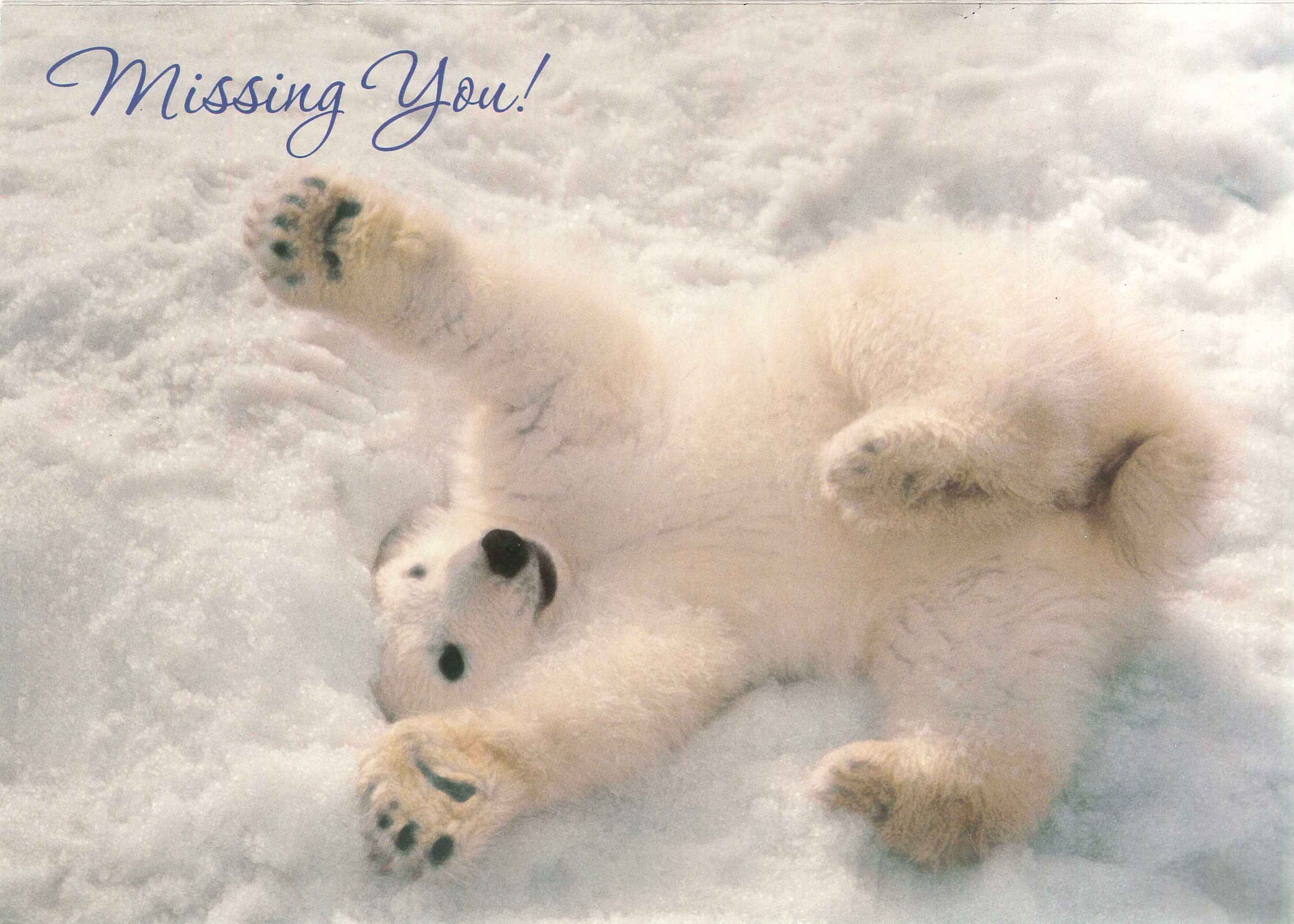 Missing you card with frolicking polar bear on its back in the snow.