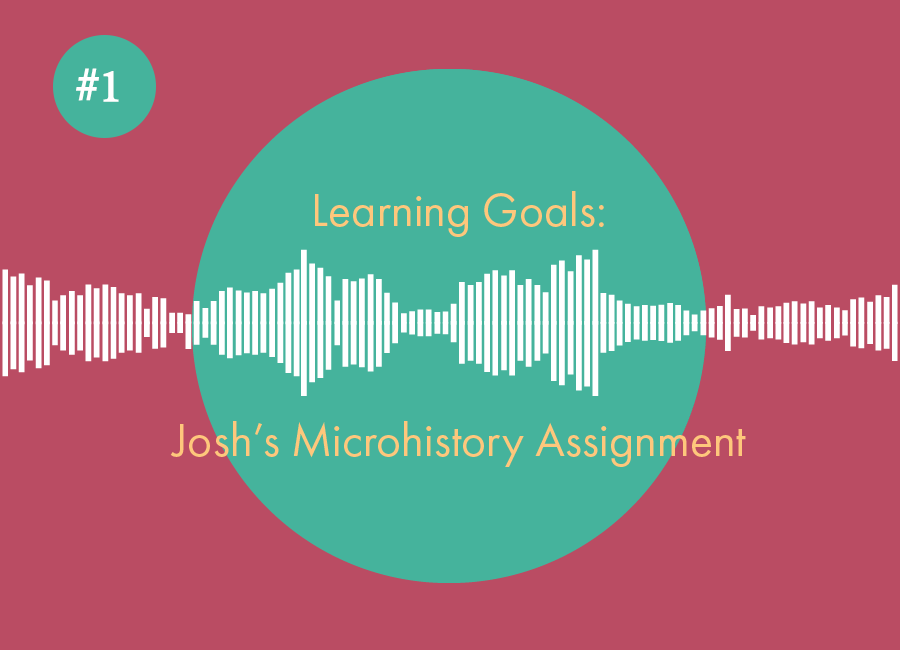 soundwave image with the words: Learning Goals: Josh's Microhistory Assignment