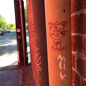 Graffiti: Drawing of a scruffy cat with STAY MEOWTY written underneath. Red on orange.