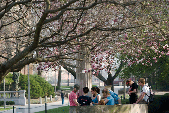 Students at the University of Illinois at Urbana-Champaign